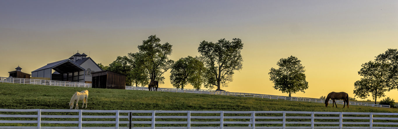 white fence around farm at dusk